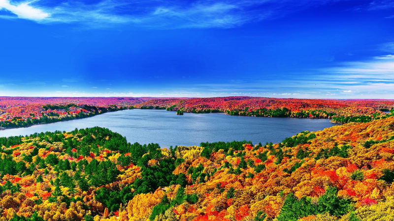El padre de Mafalda recibió el Doctor Honoris Causa de la UNCuyo