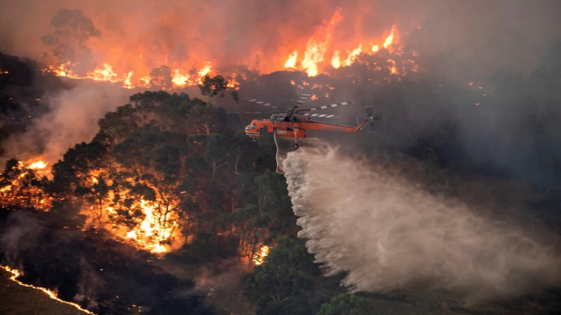 Apocalípticas de los incendios de Australia