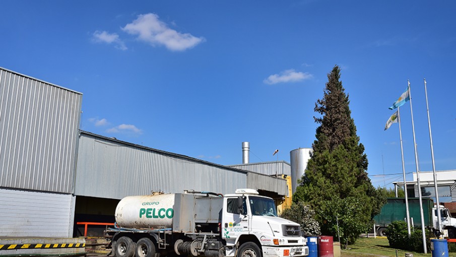 Pelco: la empresa que reciclará 50 mil luminarias en Mendoza