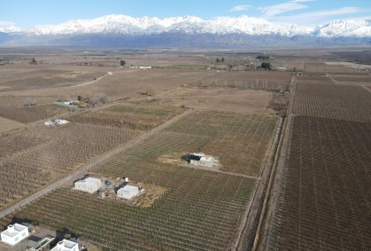 Interés inversor en Valle de Uco