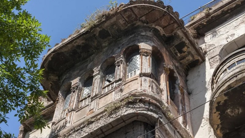 Casa Anda: Los árboles mueren de pie