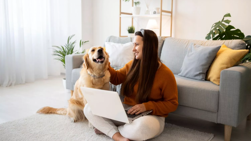 El 15% de las propiedades que se alquilan en el Gran Mendoza son "Pet Friendly"