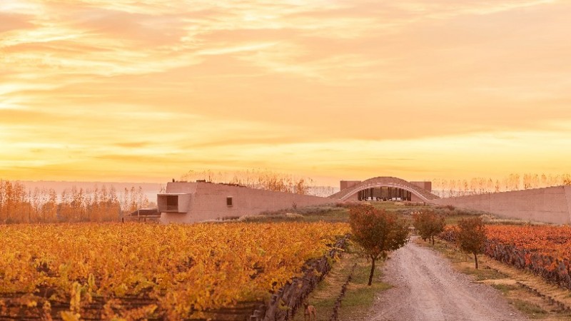 Se viene el 14° Encuentro Internacional de Vitivinicultura Biodinámica
