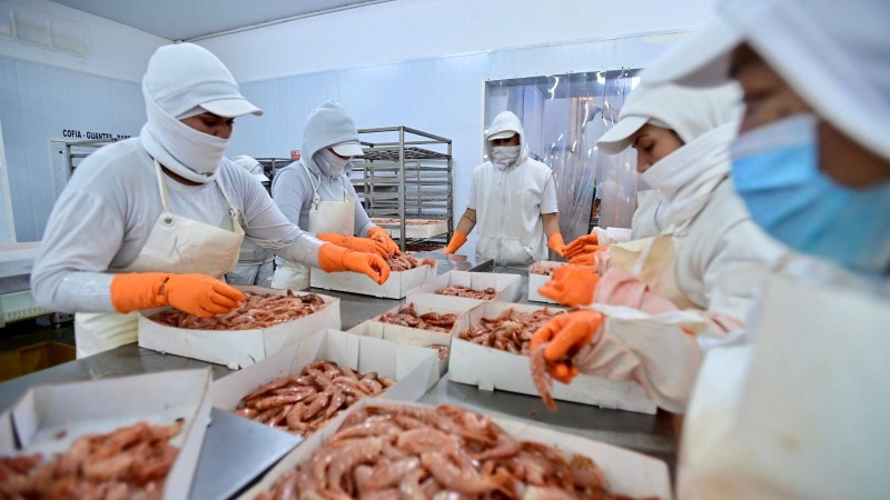 AISA Group compra la pesquera Cabo Vírgenes SA