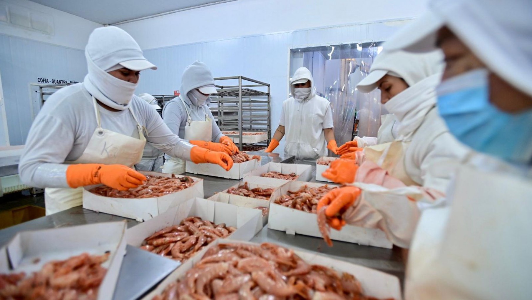 AISA Group compra la pesquera Cabo Vírgenes SA