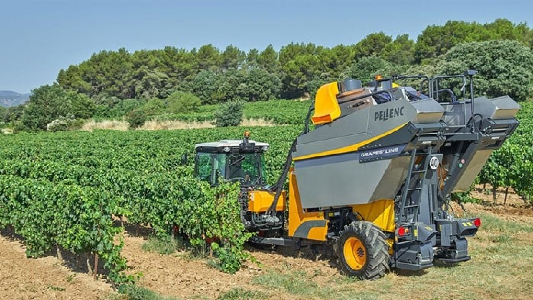 Cosecha 2025: nuevas vendimiadoras con máxima eficiencia y 50% menos de costo