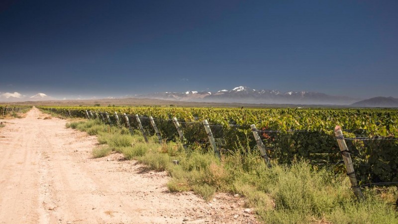 Malla antigranizo: cada vez más líneas de financiación y con tasa fija que sigue bajando