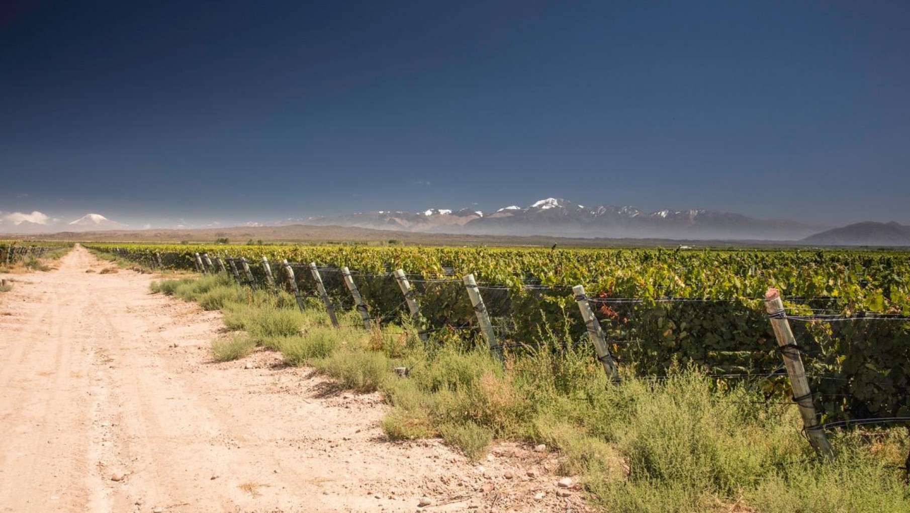 Malla antigranizo: cada vez más líneas de financiación y con tasa fija que sigue bajando