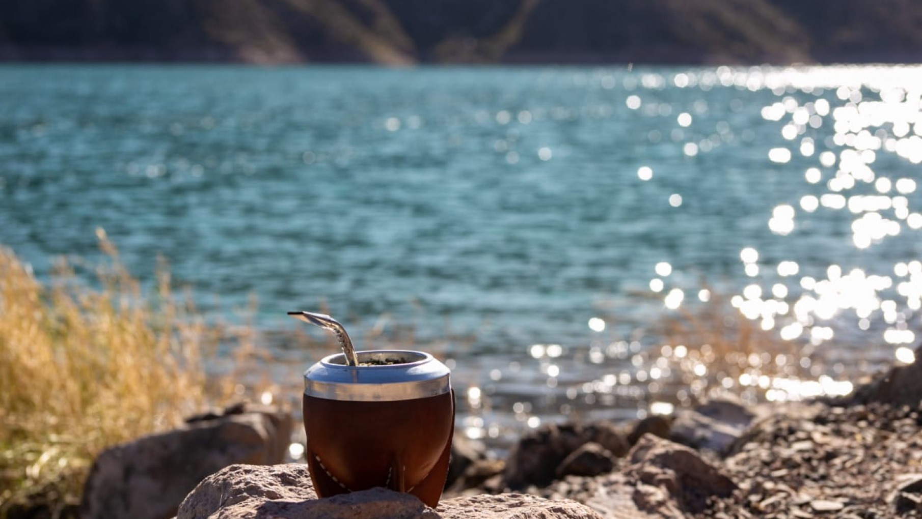 Mendoza, de desierto a oasis: el avance de la ciudad bosque del oeste argentino