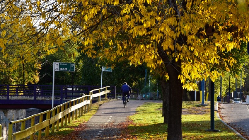 Ciudades de 15 minutos ¿Utopía o modelo posible en Mendoza y otras ciudades de América Latina?