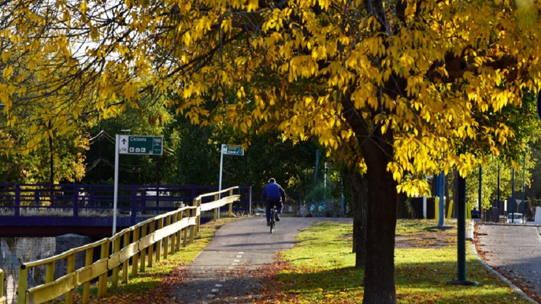 Ciudades de 15 minutos ¿Utopía o modelo posible en Mendoza y otras ciudades de América Latina?