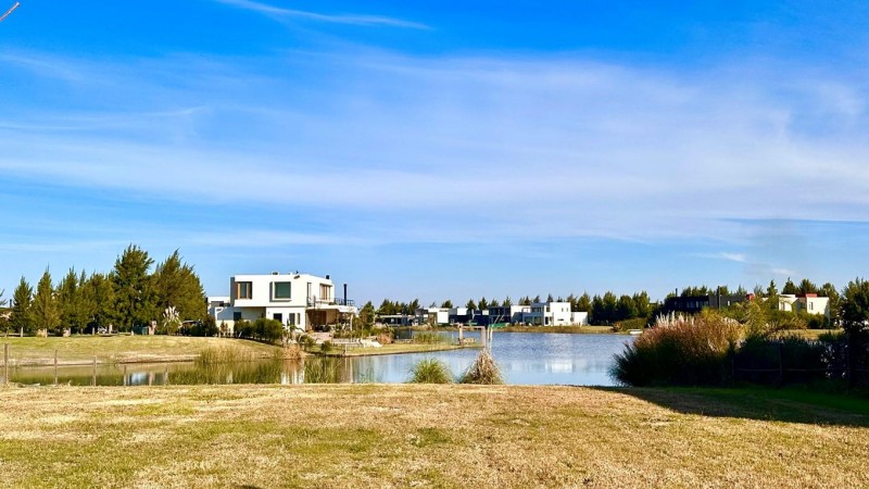 Descubrí cómo se hará la subasta online de exclusivos lotes