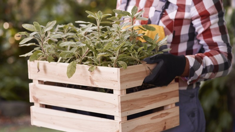 Renová la decoración de tu casa en primavera con estas ideas de reciclaje