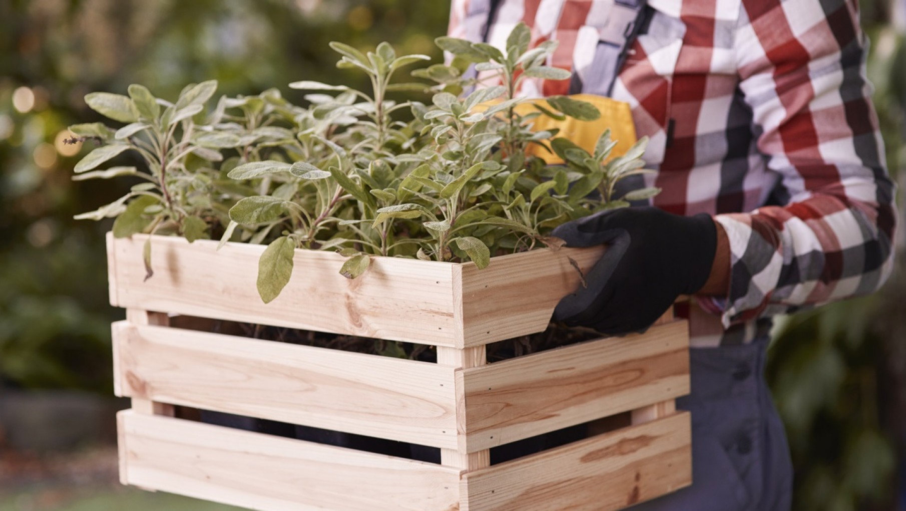 Renová la decoración de tu casa en primavera con estas ideas de reciclaje