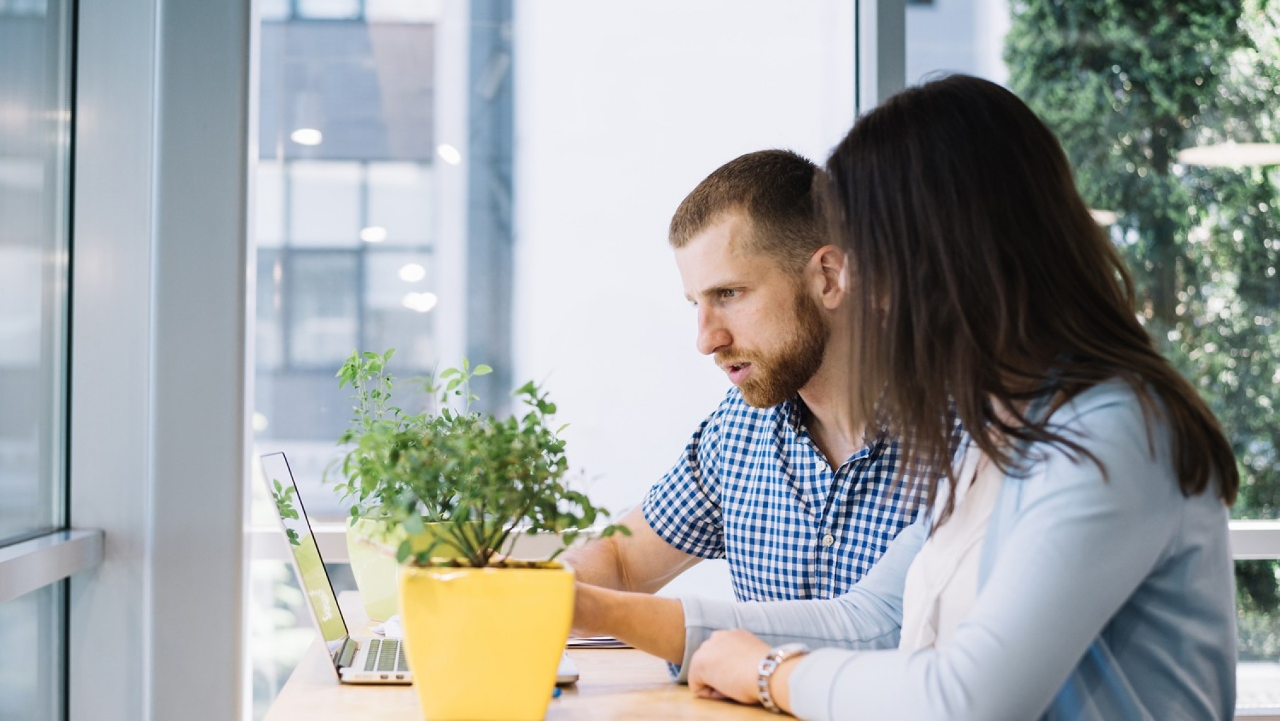 Oficinas sostenibles, una apuesta al bienestar y la motivación en los espacios de trabajo