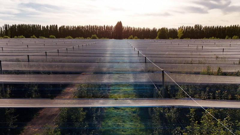 Mallas fotoselectivas: la revolución de la luz en la agricultura sostenible