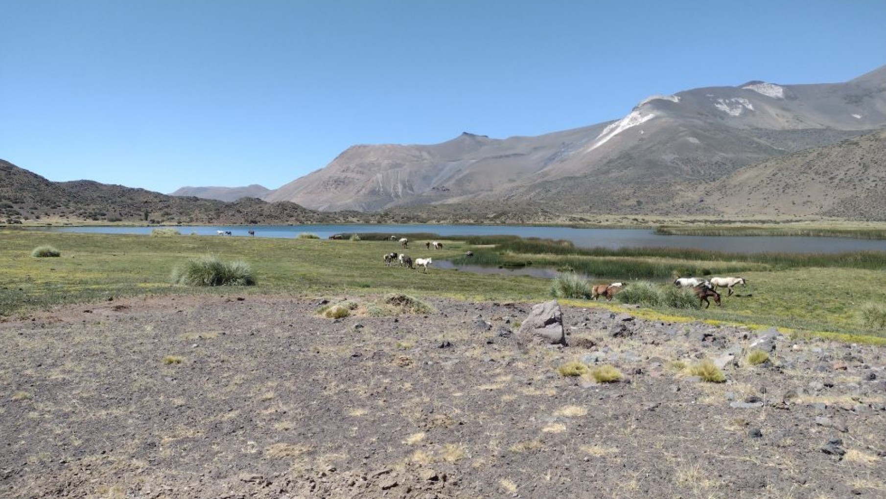 Al Sur de Mendoza: la guía definitiva de las 4 rutas soñadas de San Rafael y Malargüe