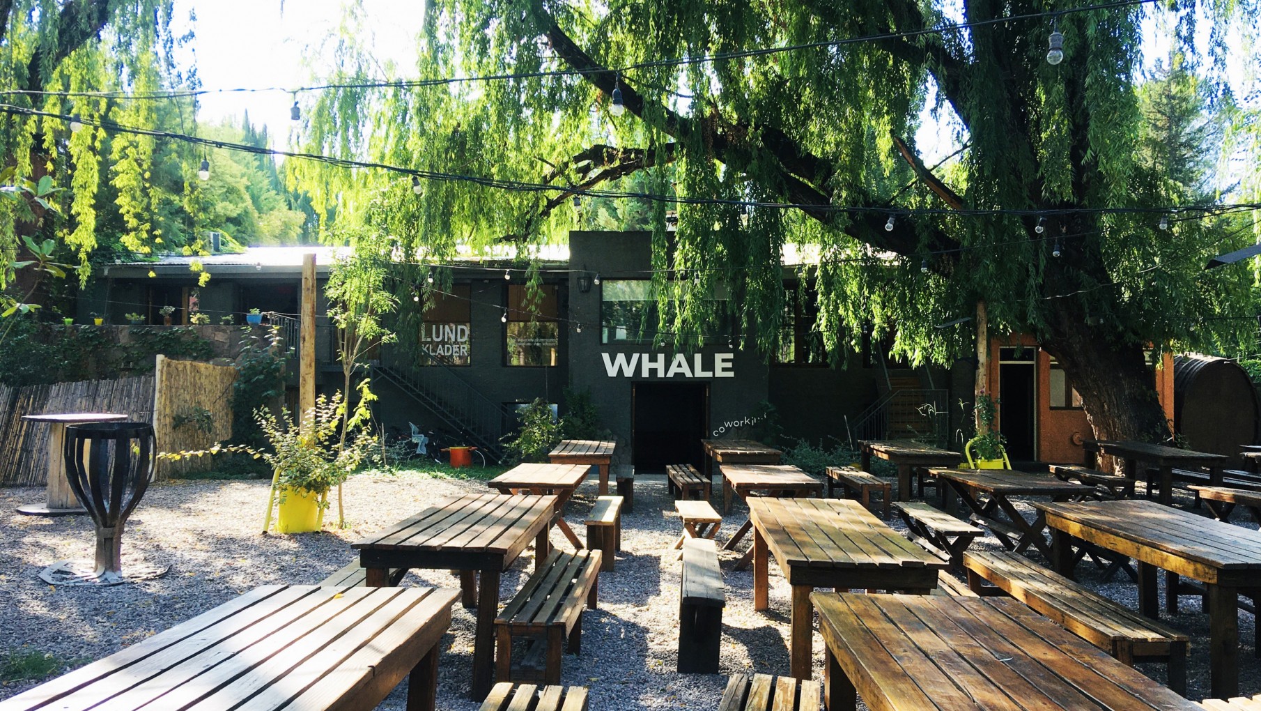Whale Chacras, cowork en armonía con vos y la naturaleza