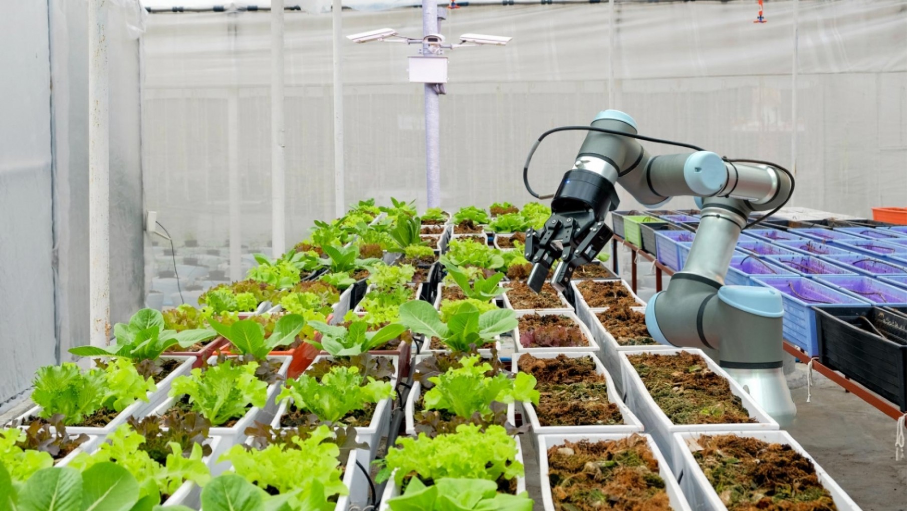 Lanzan convocatoria de créditos blandos para proyectos de alto impacto tecnológico