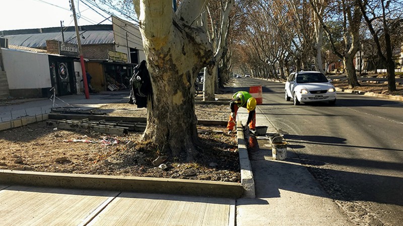 Se viene una importante obra de renovación sobre el Carril Sarmiento