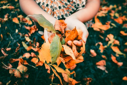 Se viene el invierno, qué trabajos tenemos que hacer en nuestro jardín 