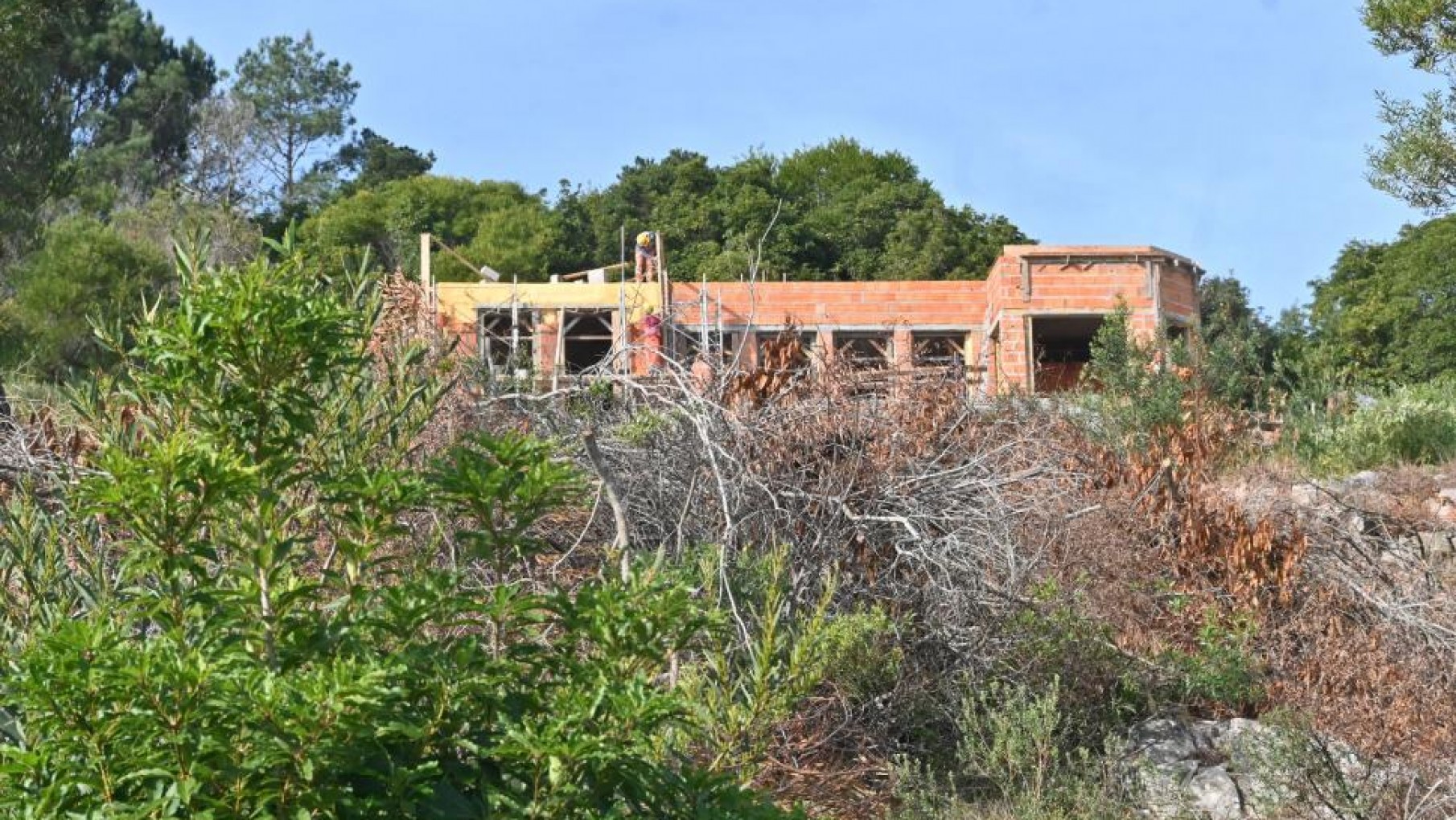 Cómo será la casa que Natalia Oreiro y Ricardo Mollo están construyendo en Uruguay