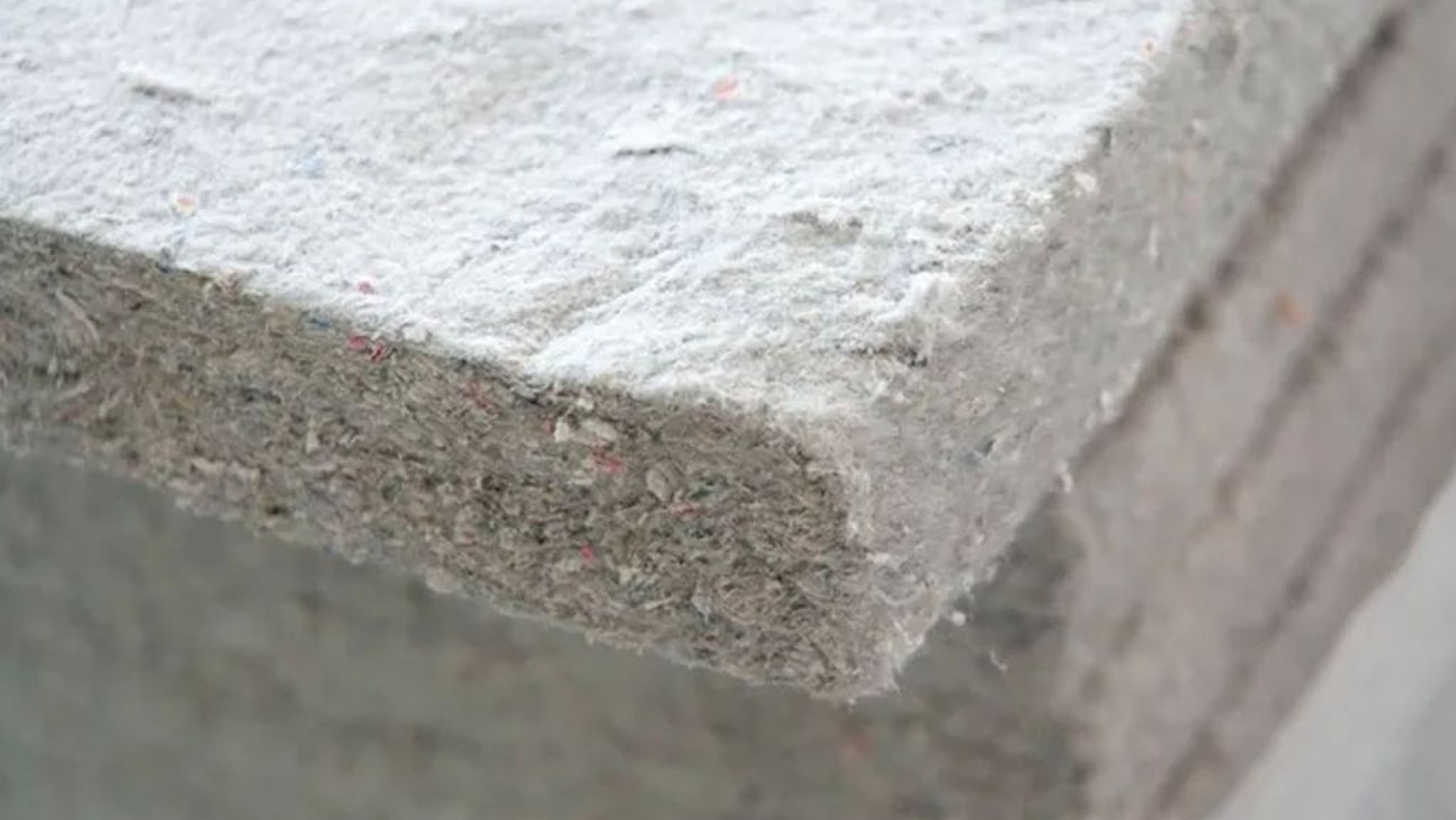 Qué opciones tenés para que una vivienda sea responsable con el medio ambiente