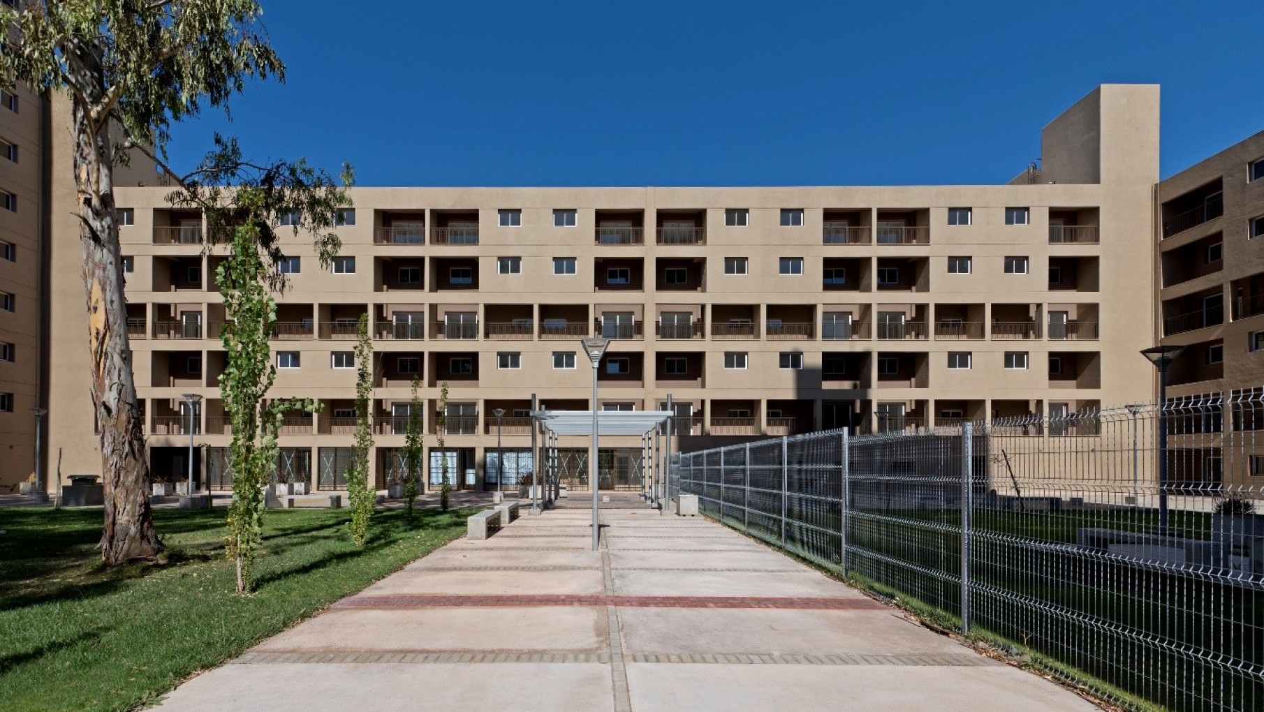 Procrear: los requisitos para tener tu casa propia