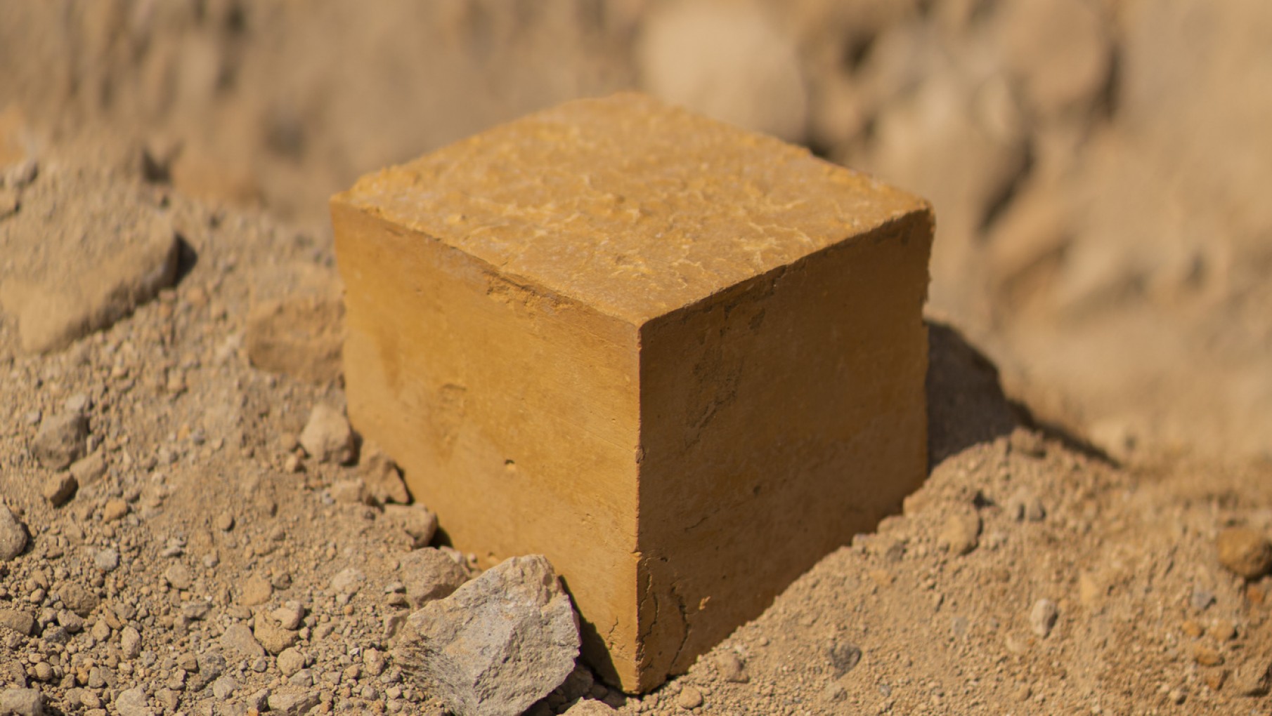 Ladrillo verde: de qué se trata este nuevo material que crece y limpia el aire