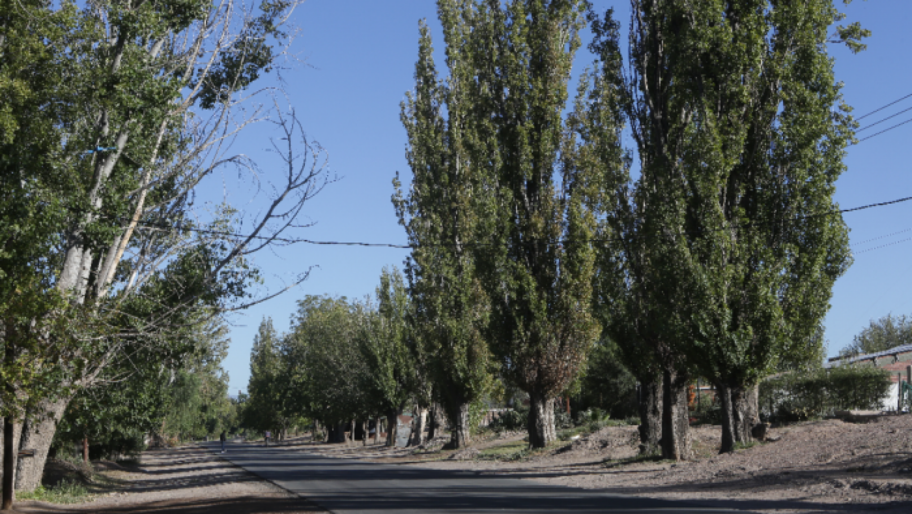 Vialidad Mendoza pavimenta cuatro kilómetros del carril Chivilcoy en San Martín