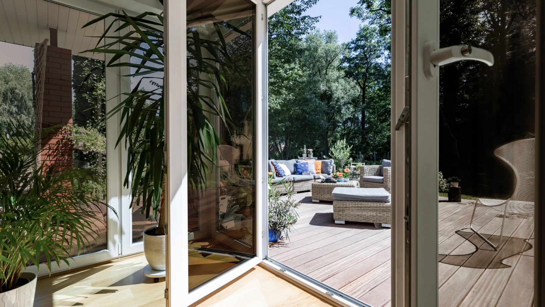 Neutro Light: el lanzamiento más esperado