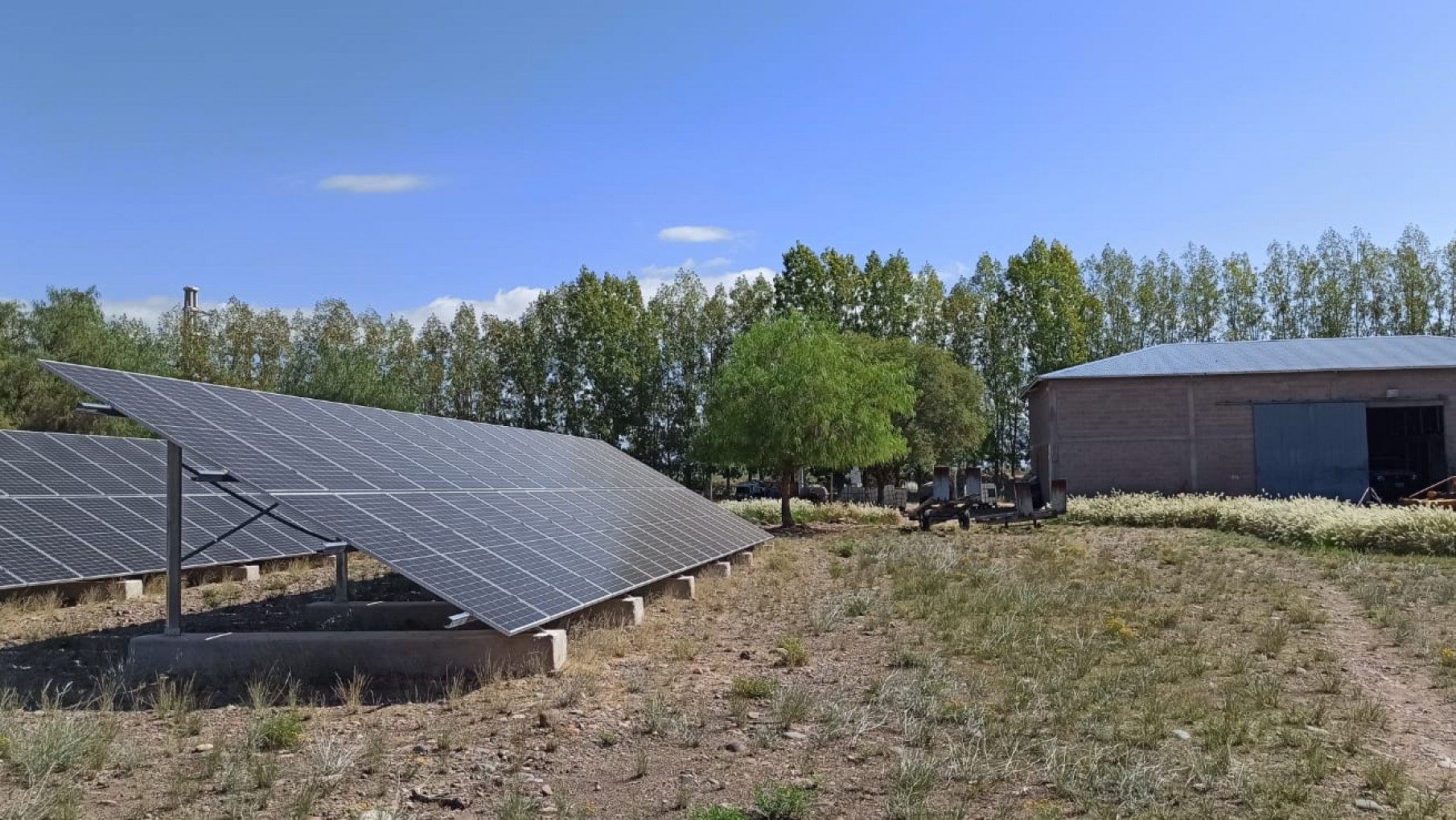 Un banco otorgó financiamiento verde a la mendocina Fincas del Inca