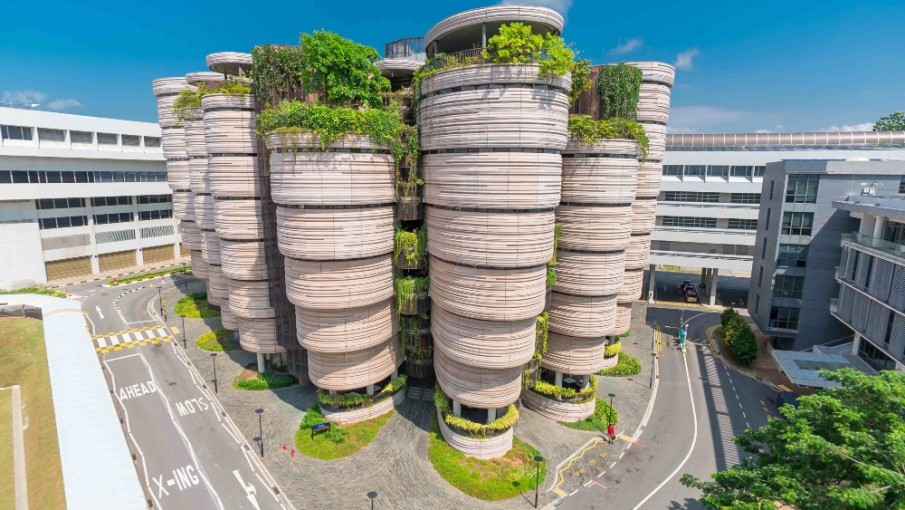 Biofilia: la clave para conectar el diseño arquitectónico con la naturaleza  
