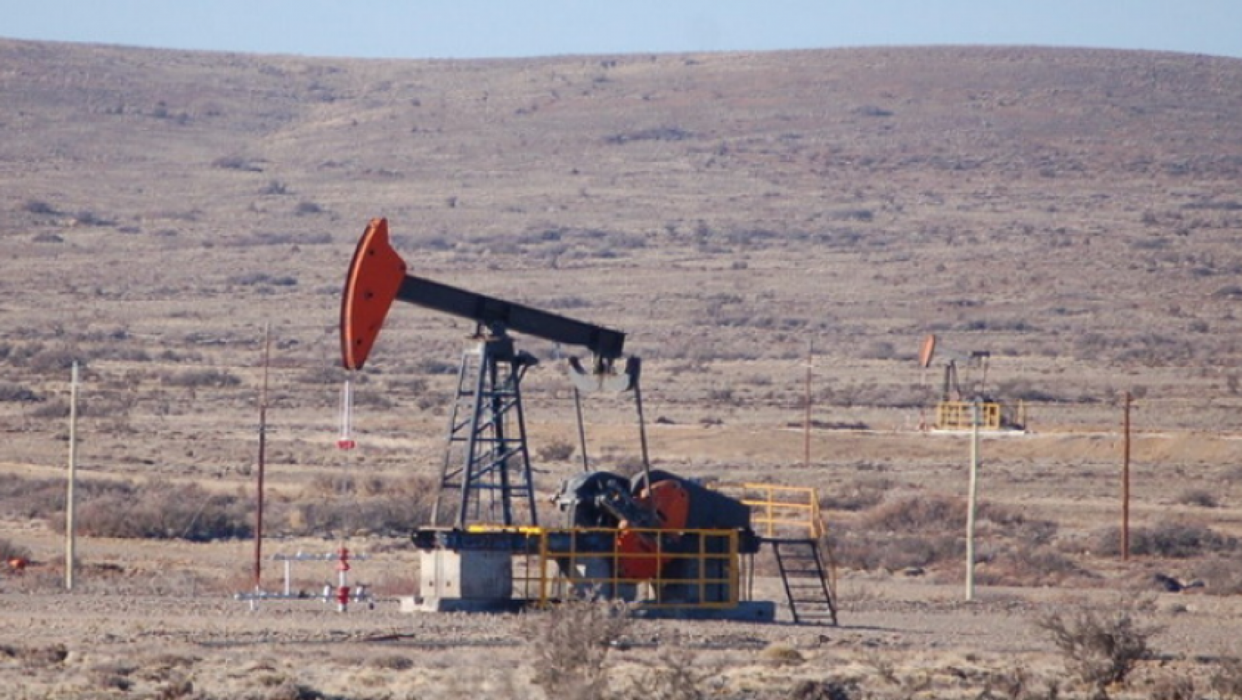 El renacer de Chañares Herrados