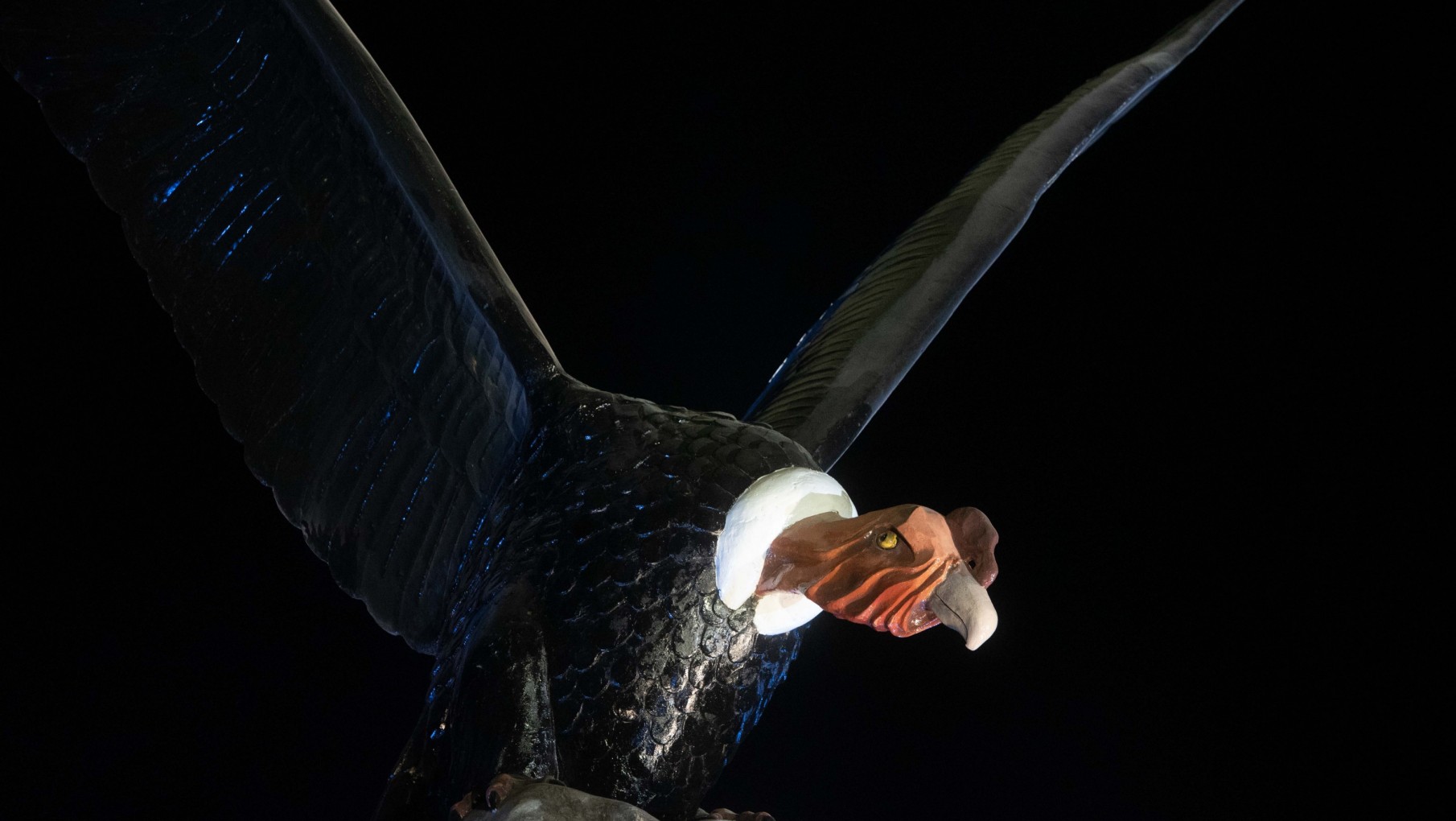 Mirá las fotos de la puesta en valor del Cóndor del Acceso