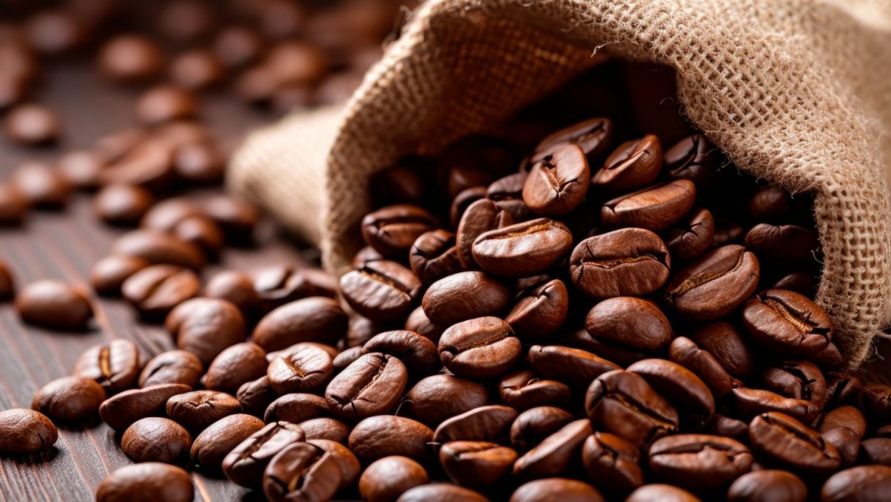 Proponen aprovechar los beneficios del café para la construcción