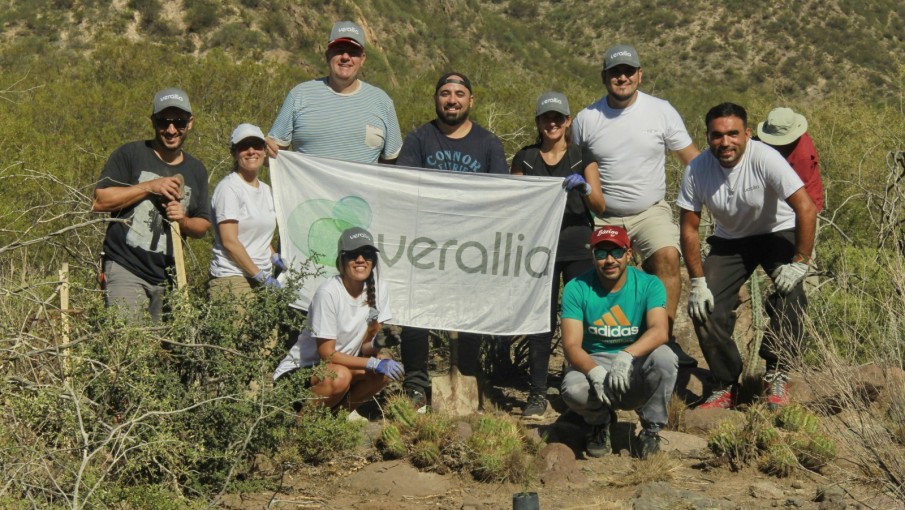 Colocaron 300 plantas de jarilla en el Cerro Arco, que fueron donadas por Verallia Argentina