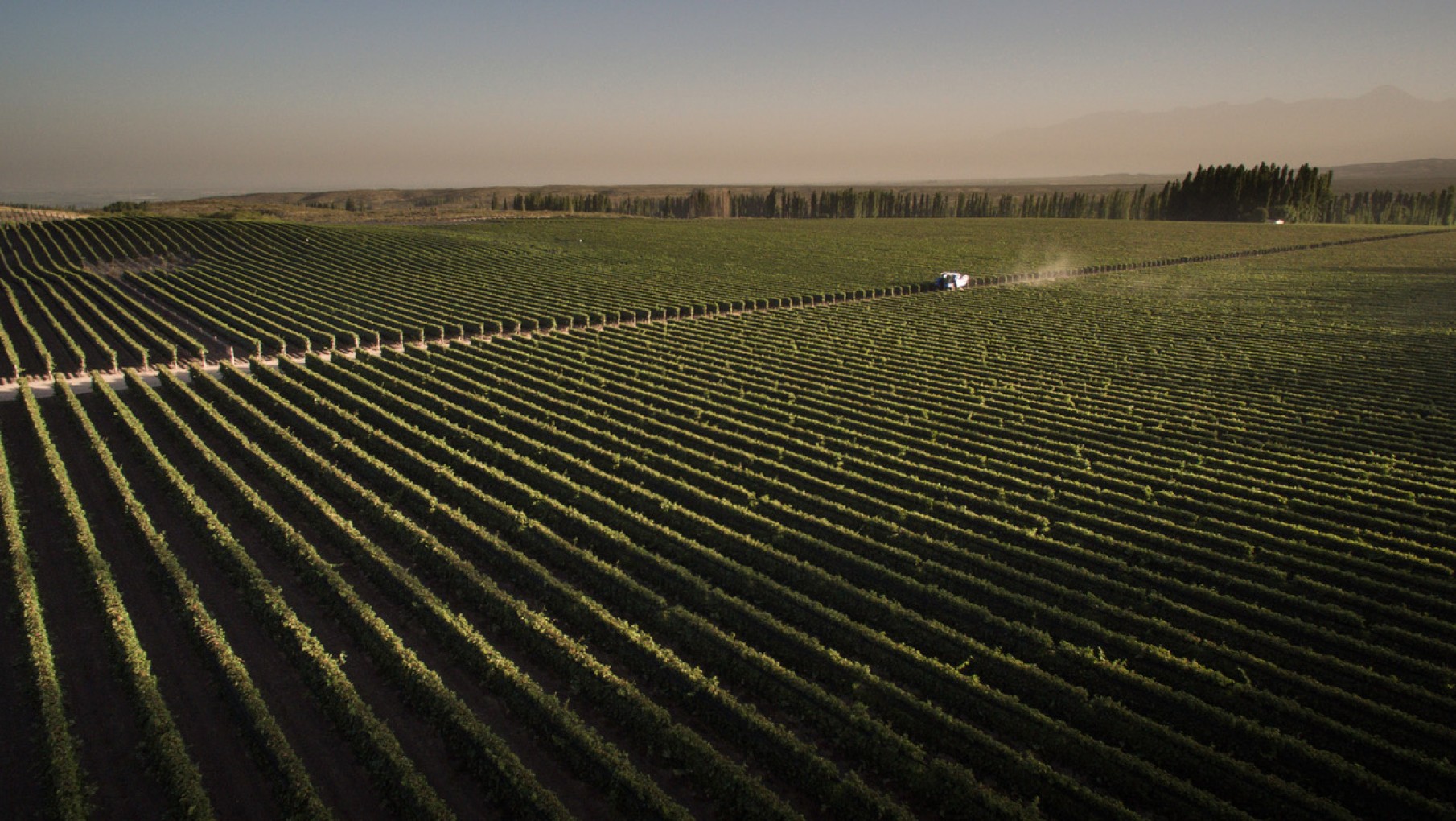 Agrinet comenzó a exportar a Brasil, Bolivia y Uruguay y se expande a Europa y África